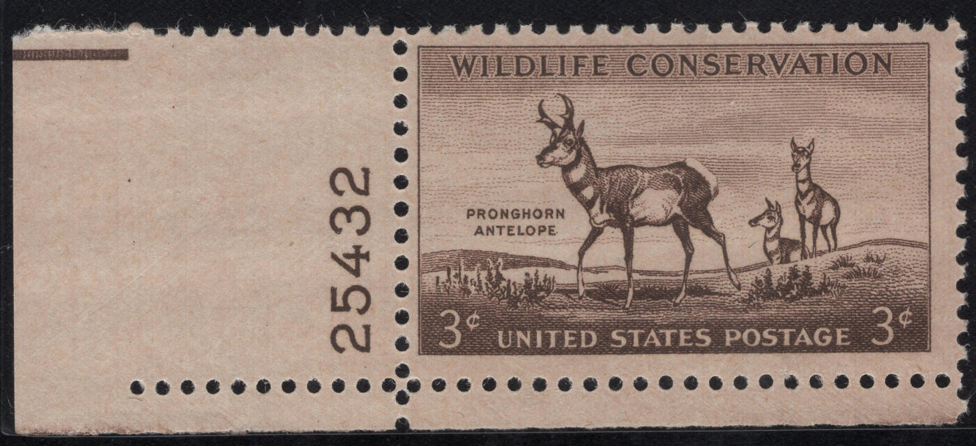 洪涛臻品批发群 精选邮票限时拍卖第1316期  1956 美国濒危野生保护动物-羚羊 左下角边带版号！雕刻版原胶全品！
