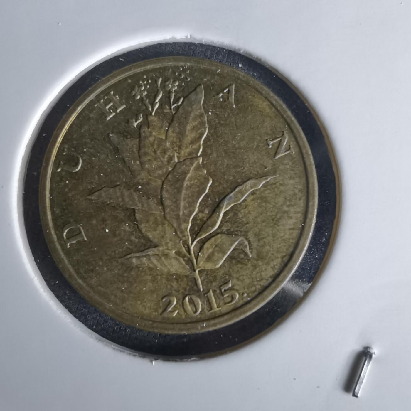 沼泽如烟--第1056场