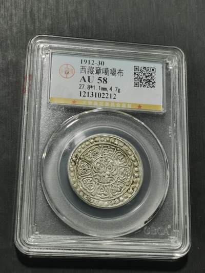 天下钱庄专场欢迎参拍 - 西藏章噶银币