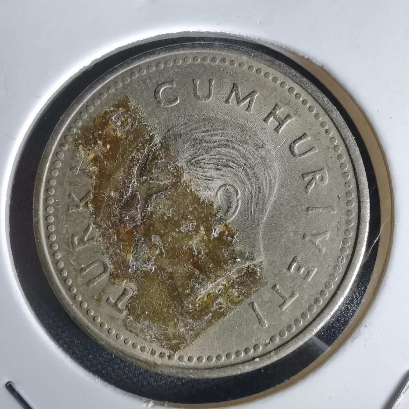 沼泽如烟--第1056场