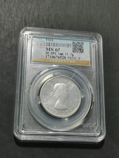 天下钱庄专场欢迎参拍 - 加拿大伊丽莎白半圆银币