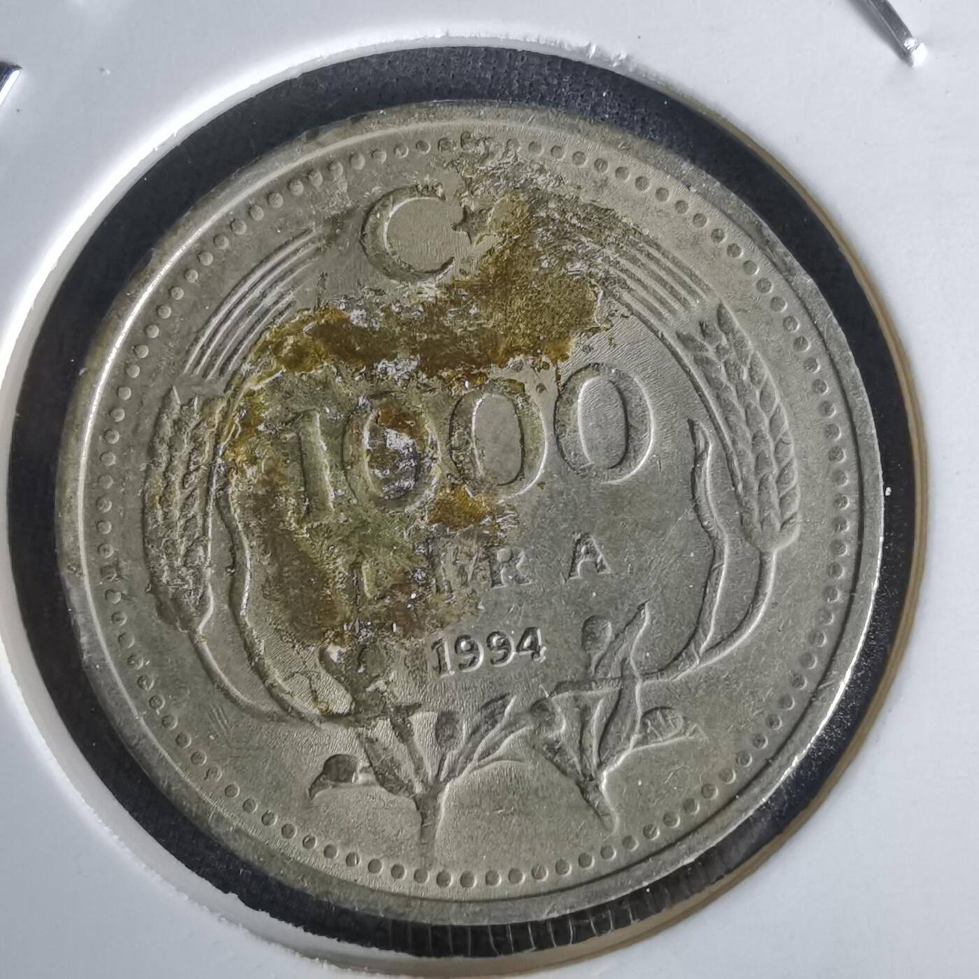 沼泽如烟--第1056场