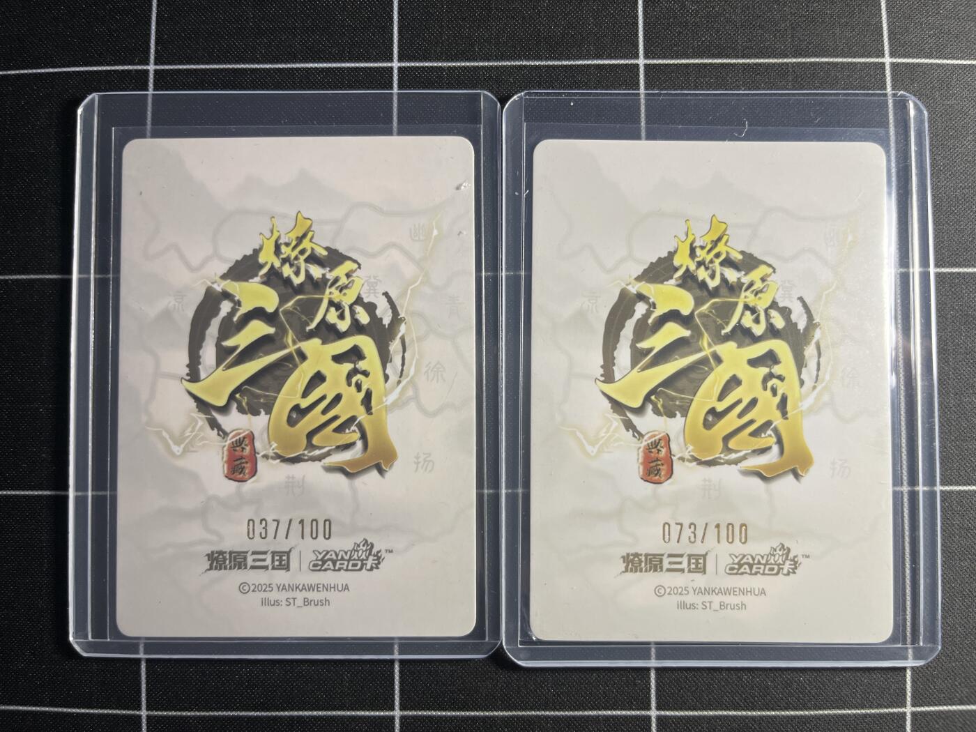 欢迎送拍、零成本上架，释放现金流，合理分配上拍卡品 【37/100&73/100】ST刷子 大乔一对（双服饰） 焱卡文化&燎原三国