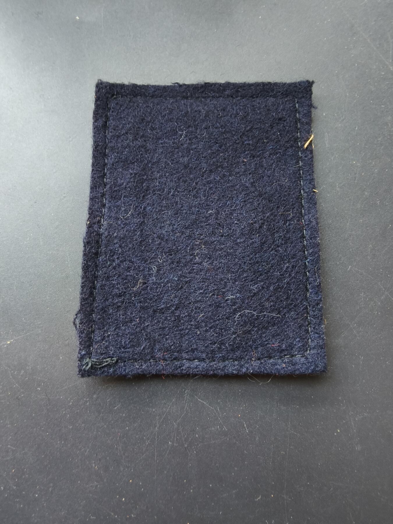 老王徽章第192期 法国陆军第15步兵师臂章