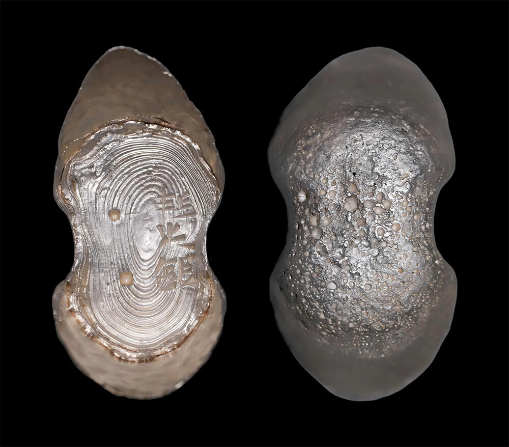 南京三省2026年春季拍卖会 机制币&金银锭&纸钞 明耗米银五两银锭