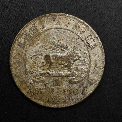 【淘币小摊】实时拍第八百九十二拍   散币场    每周一统一发货 - 英属东非1925年乔治五世1先令银币