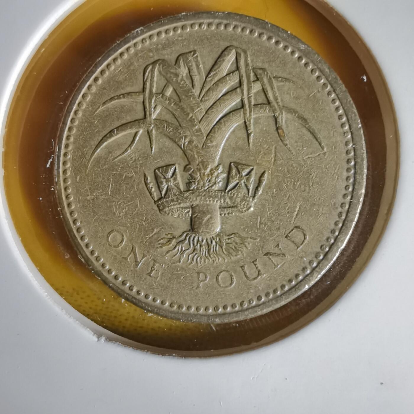 沼泽如烟--第1059场 英国1990年1磅