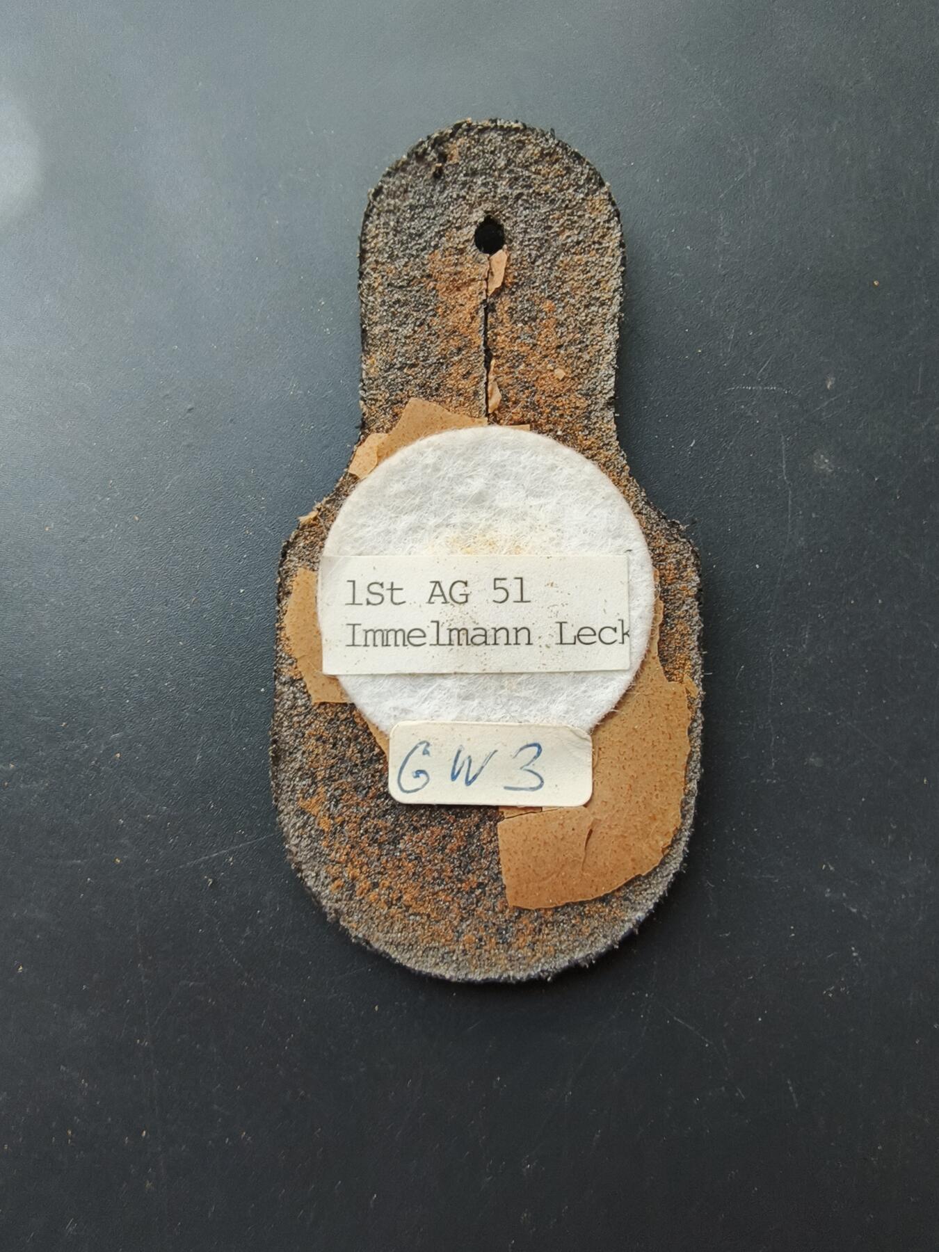 老王徽章第192期 德国联邦国防军空军第52侦察联队第1中队证章