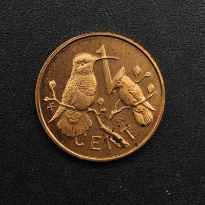 【淘币小摊】实时拍第八百九十二拍   散币场    每周一统一发货 - 英属维尔京1973年1分精制铜币