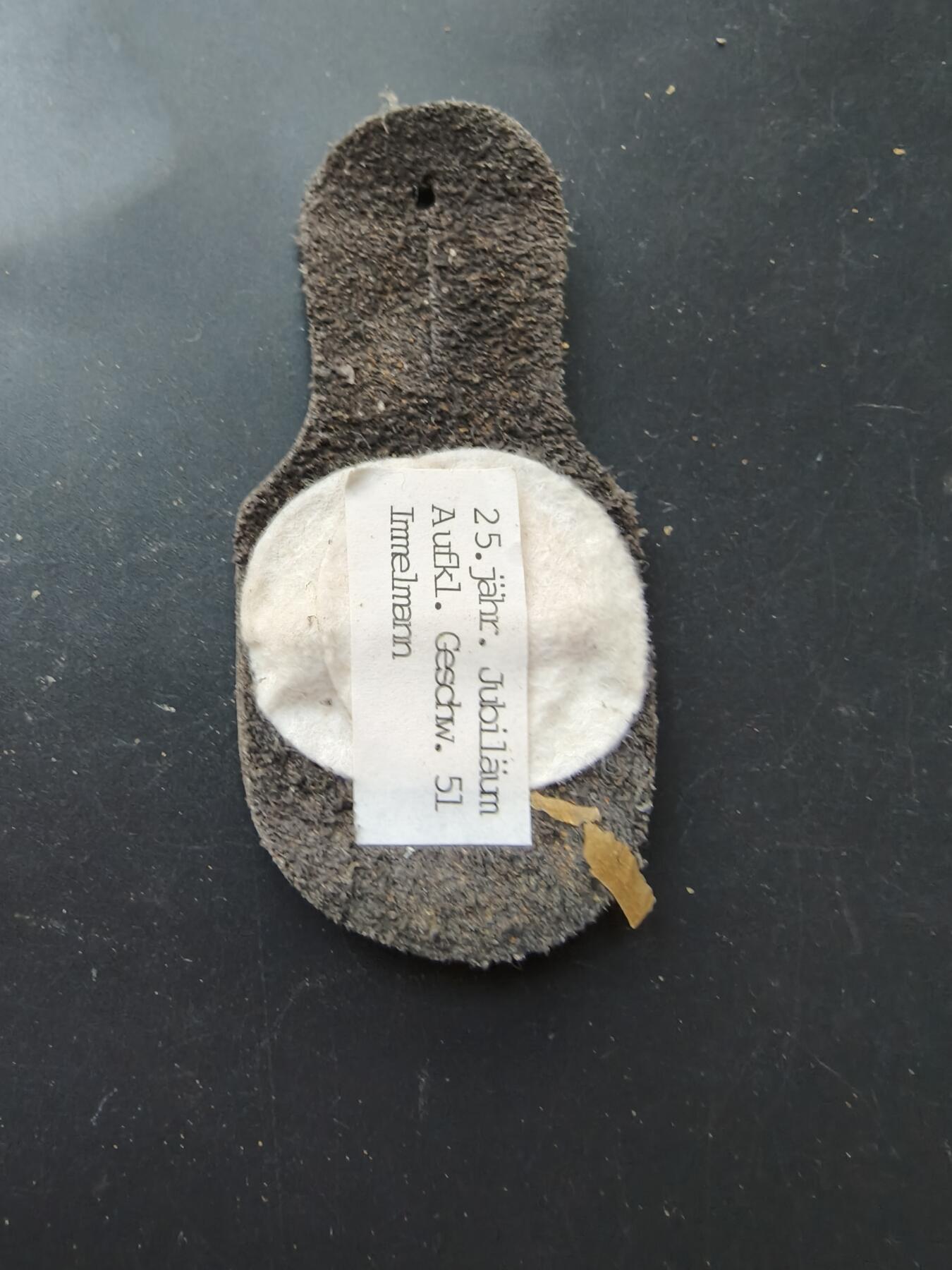 老王徽章第192期 德国联邦国防军空军第51“英默尔曼”侦察机联队成立25周年证章