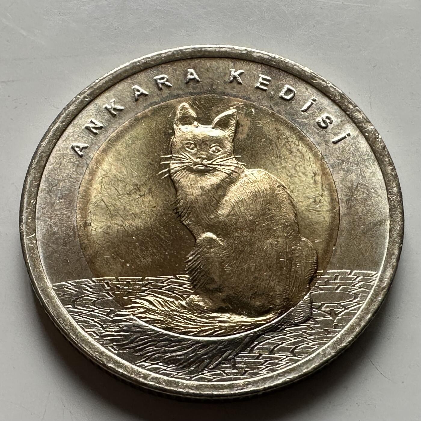 🌹外币初藏🌹🐯2026年第43场   每周二四六晚8️⃣点  世界硬币 土耳其 2015年 安哥拉猫 1里拉双色纪念币