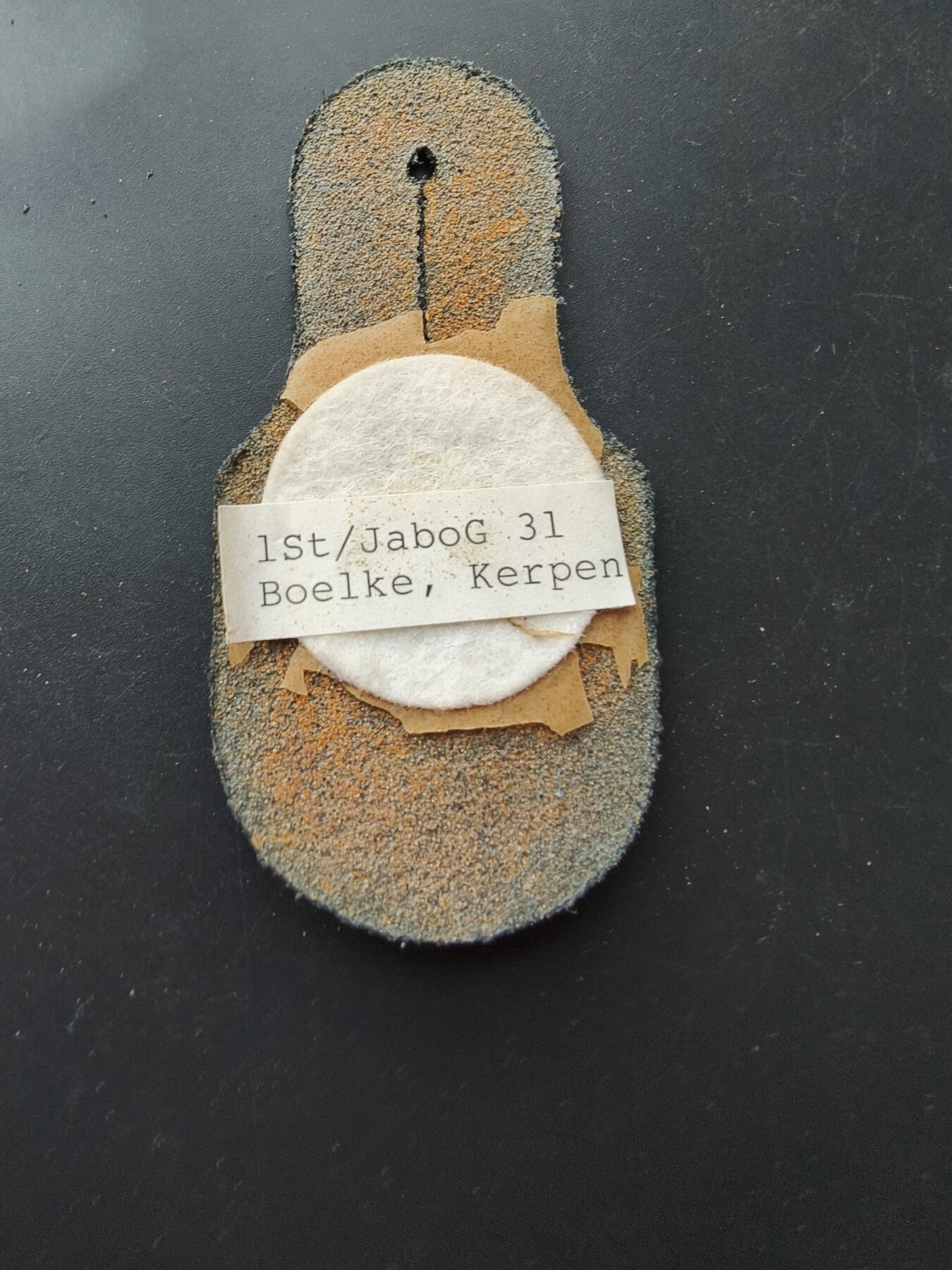 老王徽章第192期 德国联邦国防军空军第31“波尔克”战术联队第1中队证章