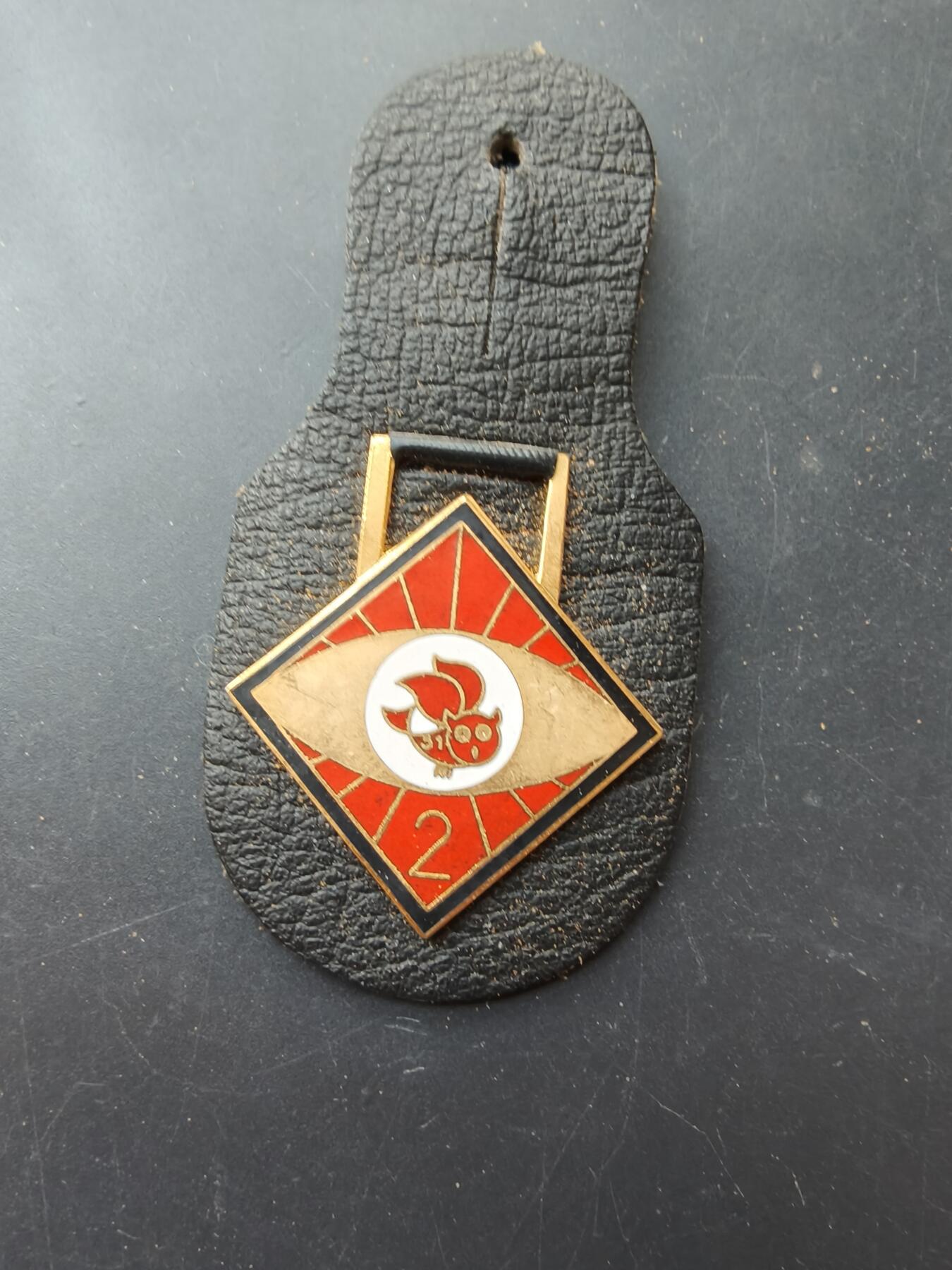 老王徽章第192期 德国联邦国防军空军第 51 侦察联队证章