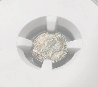 甄臻铺-世界币章拍卖（第60期），甄品场拍品征集中，送拍享返佣金等优惠多多 NGC-MS65-MS64 1896年维多利亚披纱洗脚币，宗教产物，天鹅绒布包浆，黑五彩，PL底板