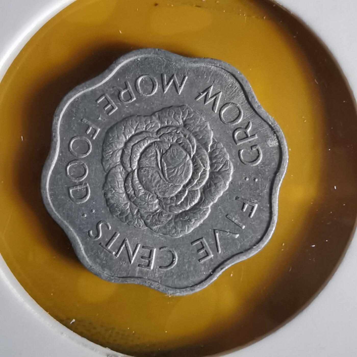 沼泽如烟--第1059场 塞舌尔1972年五分FAO