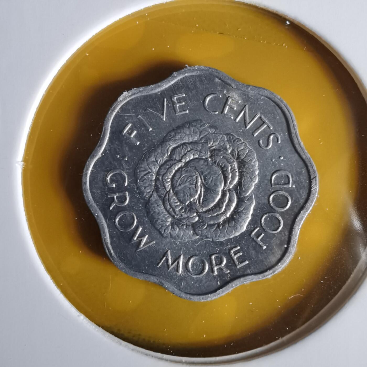 沼泽如烟--第1059场