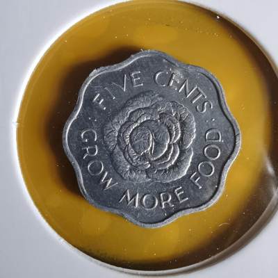 沼泽如烟--第1059场 - 塞舌尔1972年五分FAO