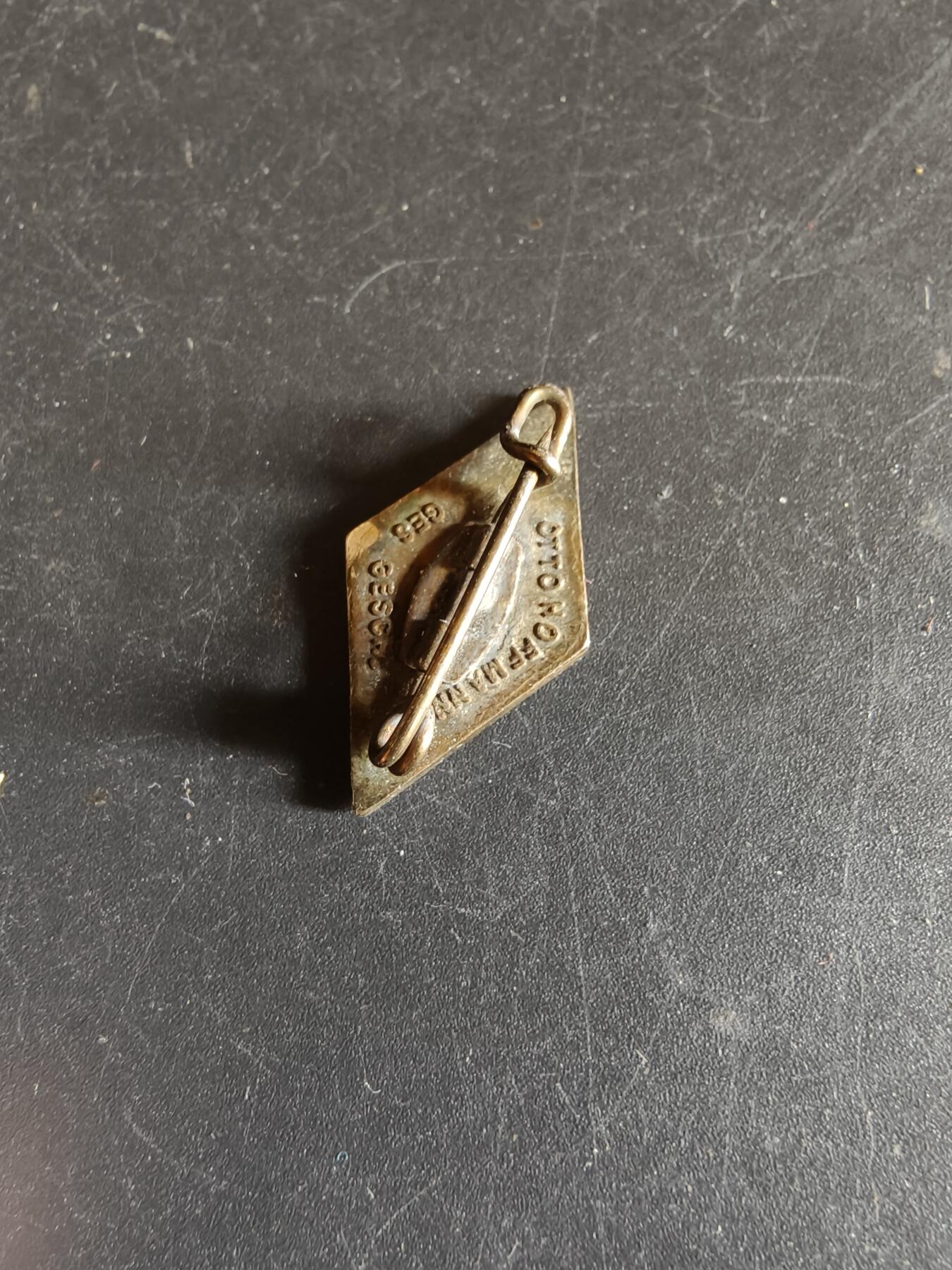 老王徽章第192期 德三小胡子青年团证章