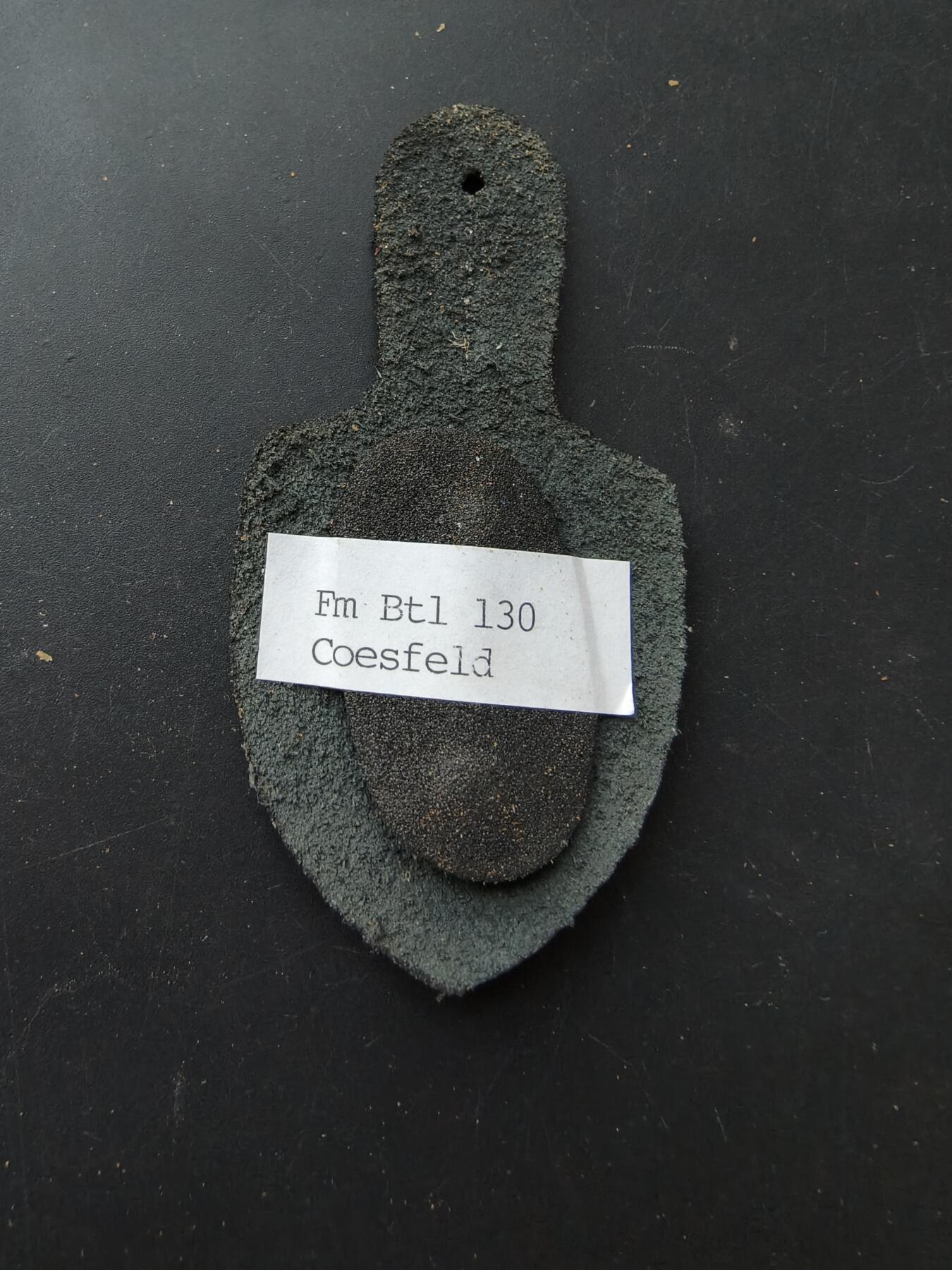 老王徽章第192期 德国联邦国防军第610通讯营证章