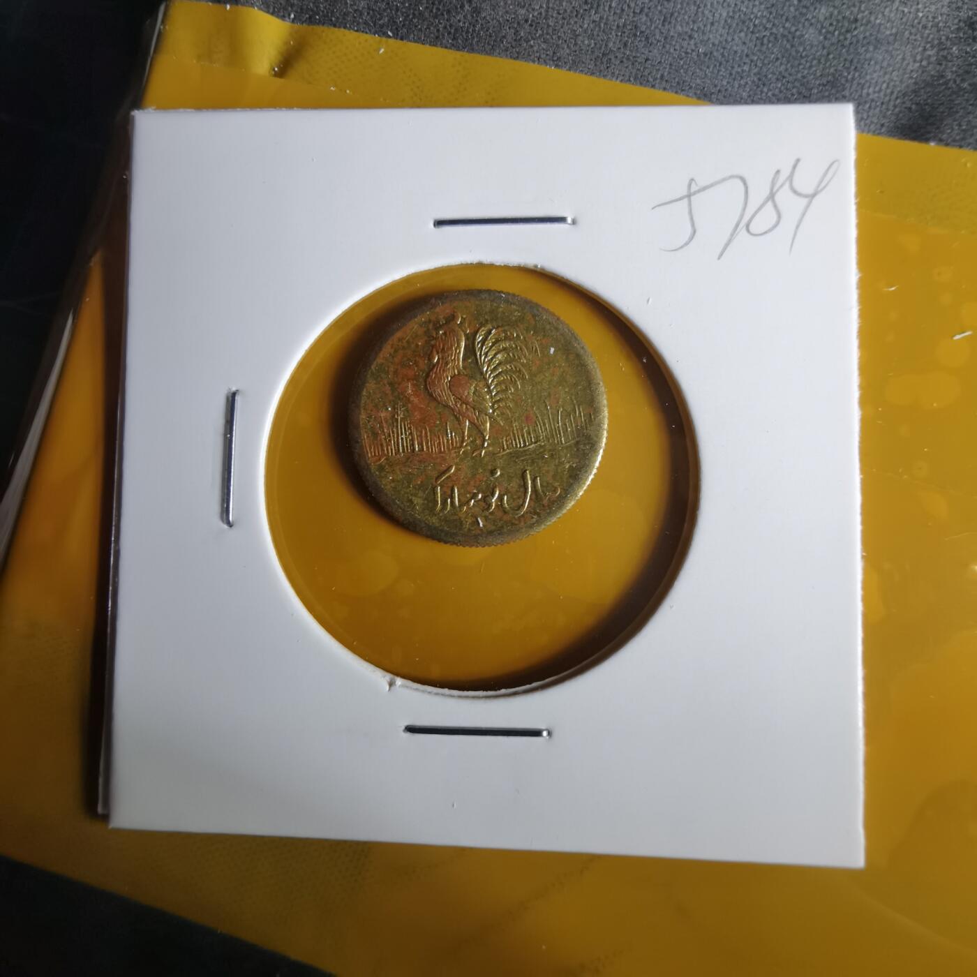 沼泽如烟--第1057场