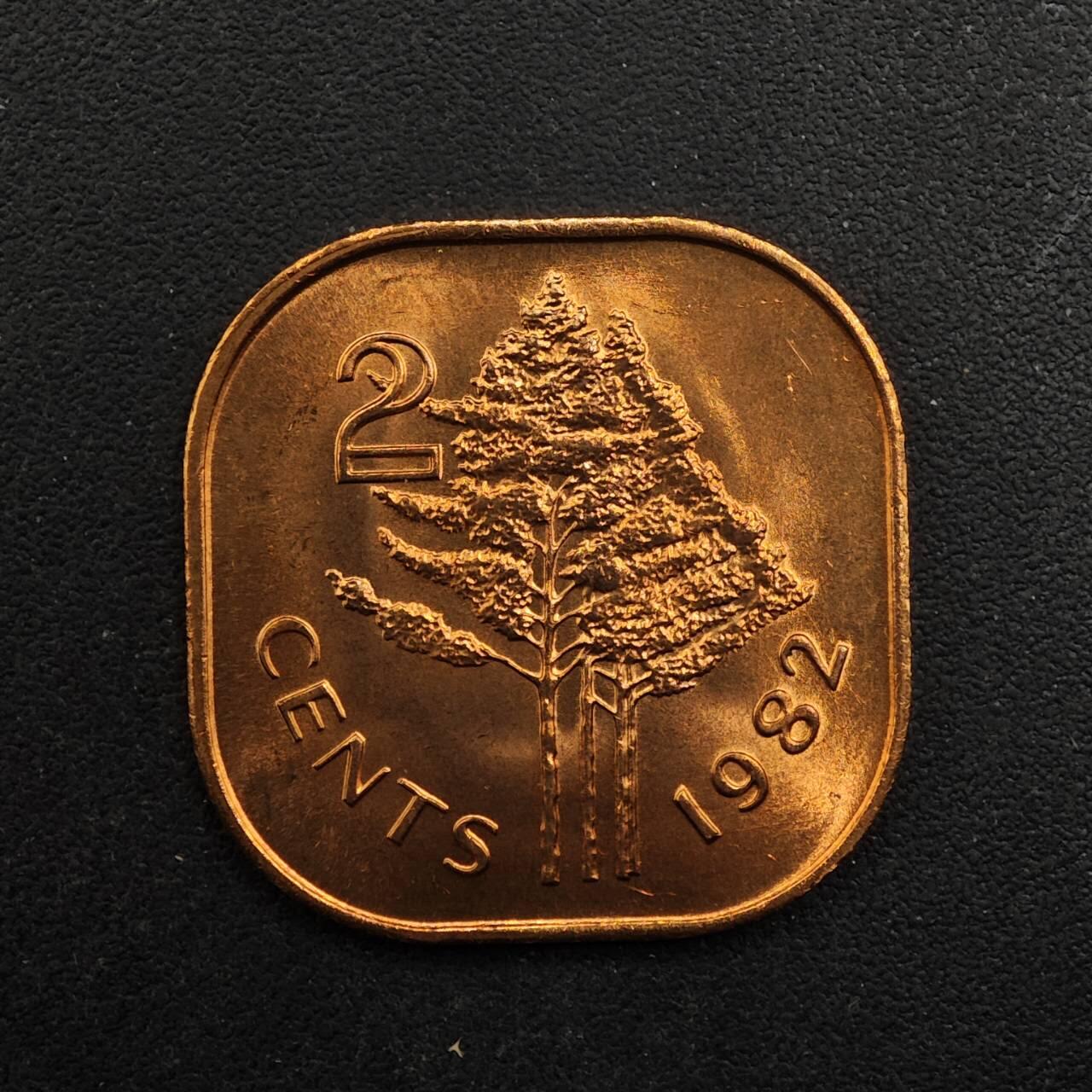 【淘币小摊】实时拍第八百九十二拍   散币场    每周一统一发货 斯威士兰1982年2分铜币