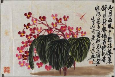 碧月说宝.近现代书画专场（九） 齐良末 秋海棠