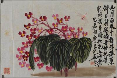 碧月说宝.近现代书画专场（九） 齐良末 秋海棠