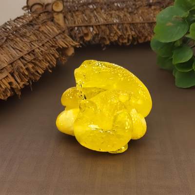 碧月说宝.君子怀瑾·当代和田玉清风专场(九) 眼镜蛇