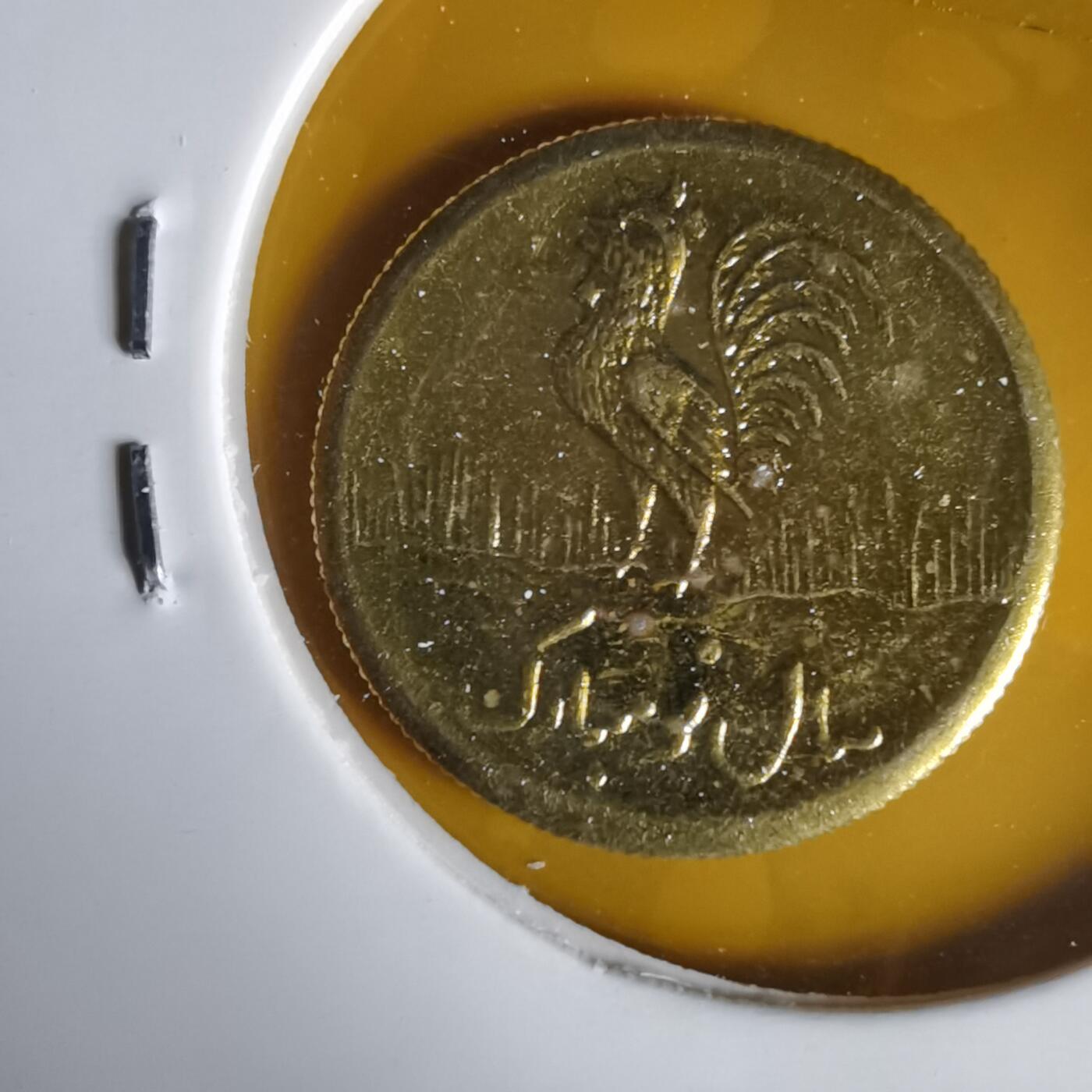 沼泽如烟--第1059场 伊朗代币