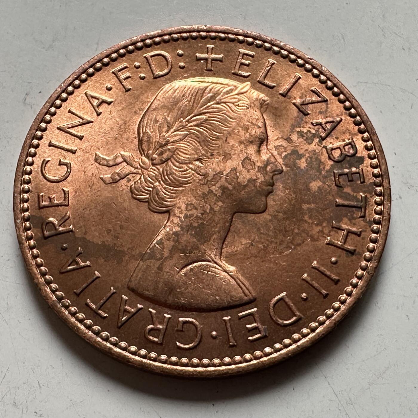 🌹外币初藏🌹🐯2026年第43场   每周二四六晚8️⃣点  世界硬币