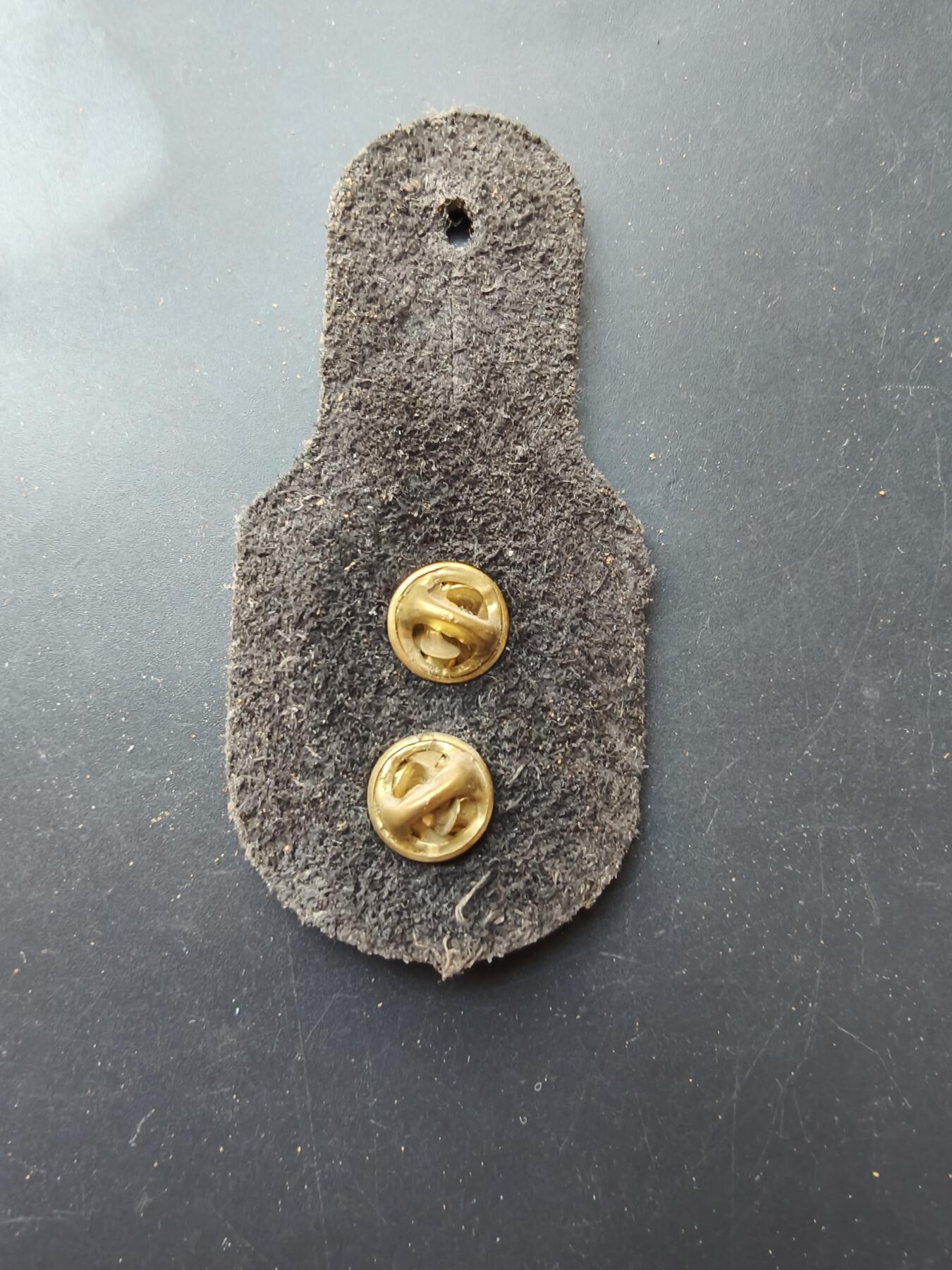 老王徽章第192期 德国空军第32战斗轰炸机联队第1中队证章