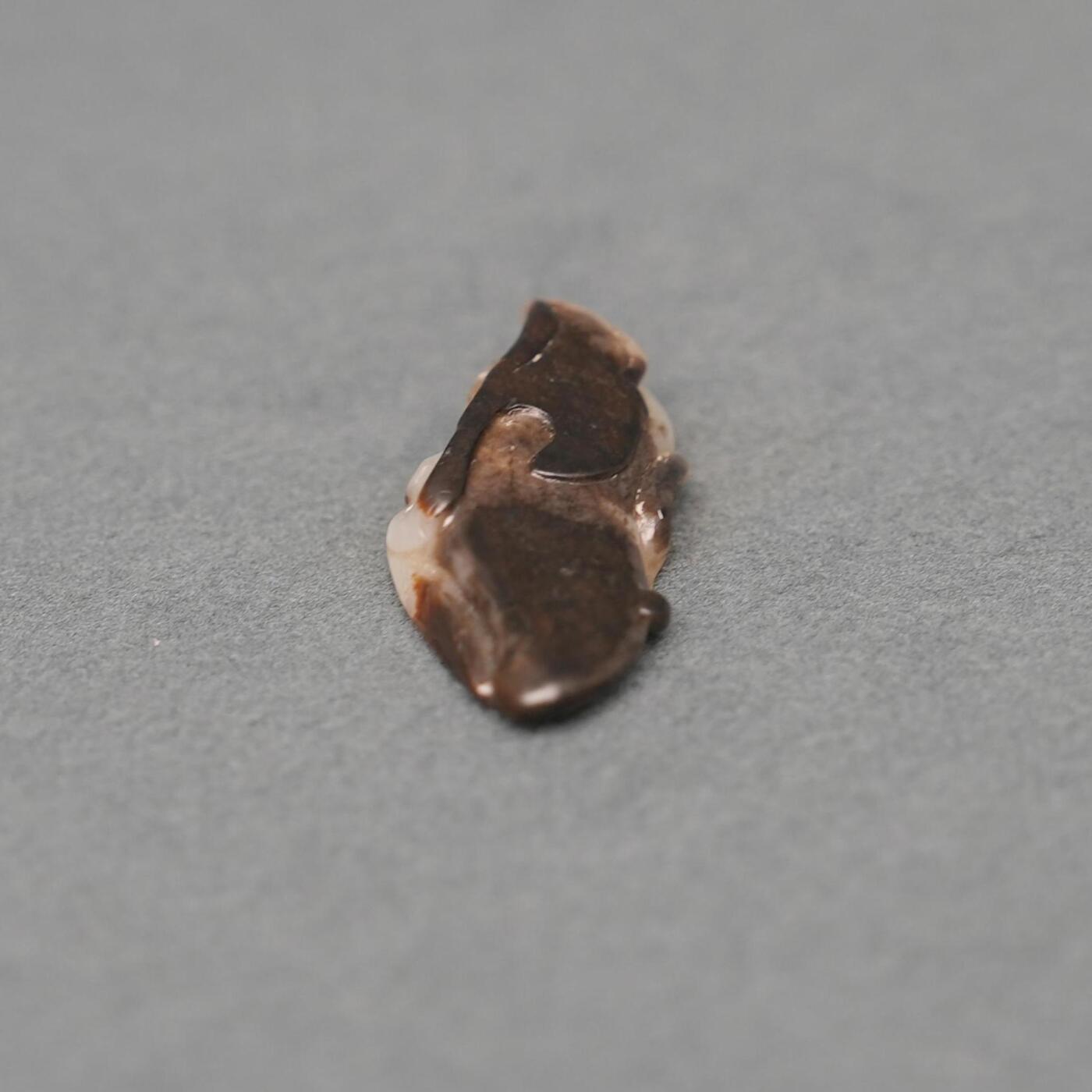  碧月说宝.韫玉流光-南京文物公司明清玉器专场（二） 沁色 菱角