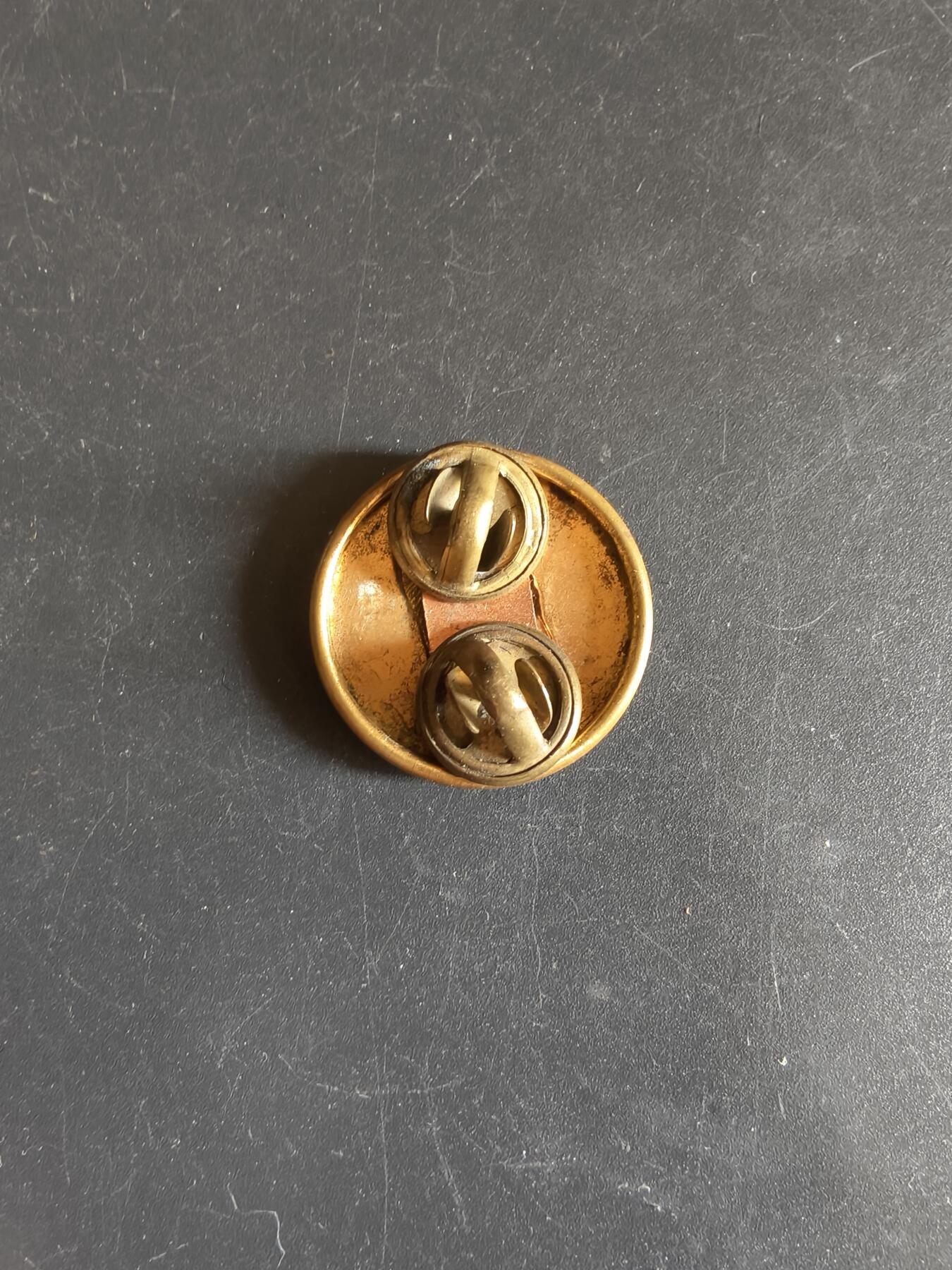 老王徽章第192期 美国二战陆军女子军团领章