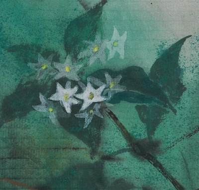 碧月说宝.近现代书画专场（九） 孙志钧 幽香