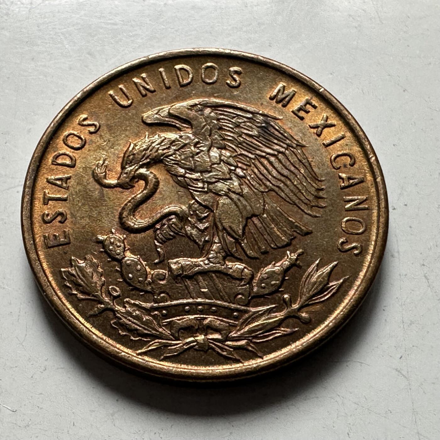 🌹外币初藏🌹🐯2026年第43场   每周二四六晚8️⃣点  世界硬币 墨西哥1954年一分