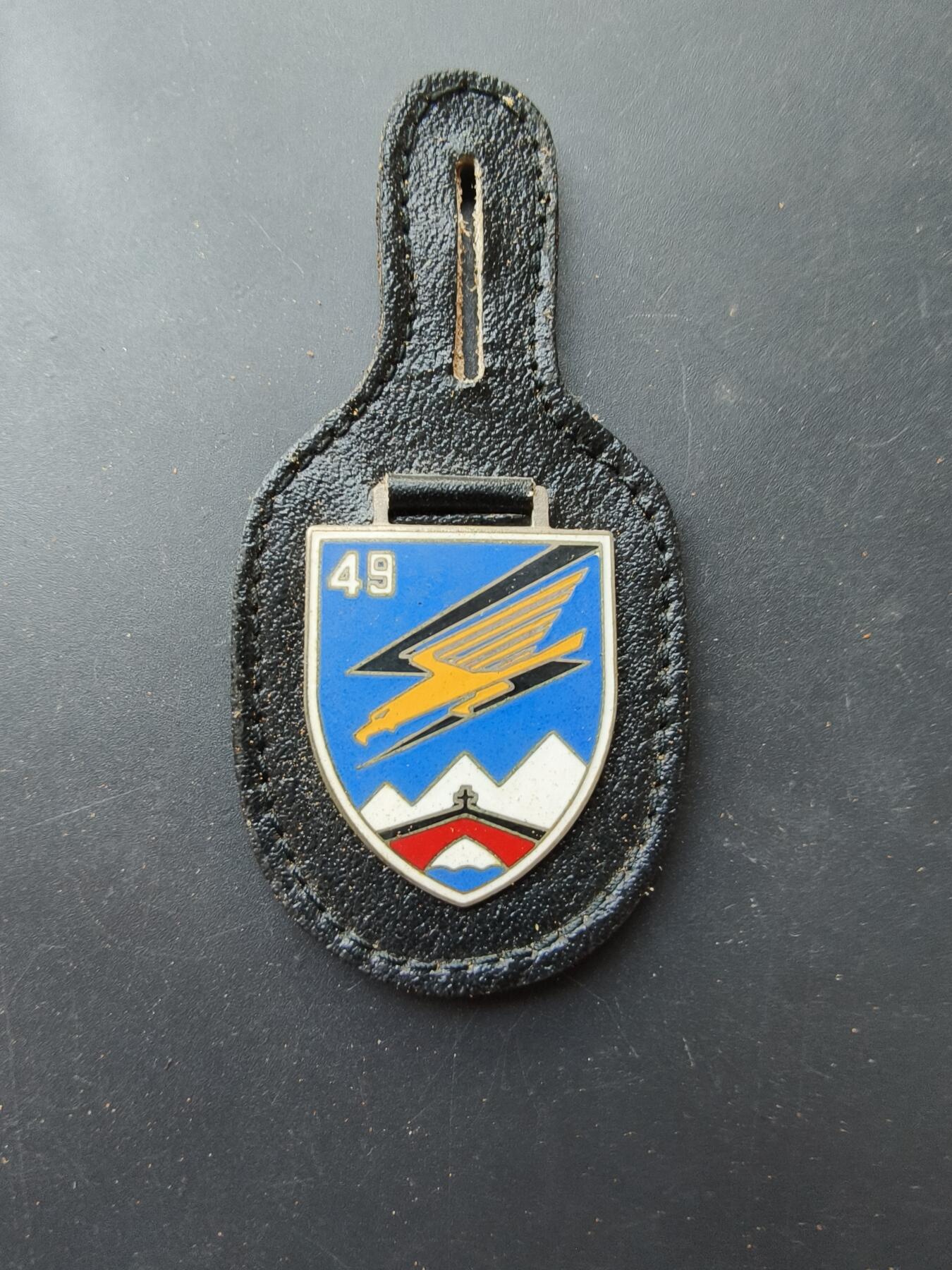 老王徽章第192期 德国联邦国防军空军第49战斗轰炸机联队证章     该联队驻扎在德国菲尔斯滕费尔布鲁克空军基地，装备有Alpha Jet 攻击机。 
