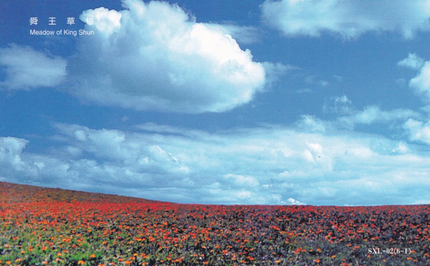 04月23日（周四）20:00 中国大陆机戳封片专场