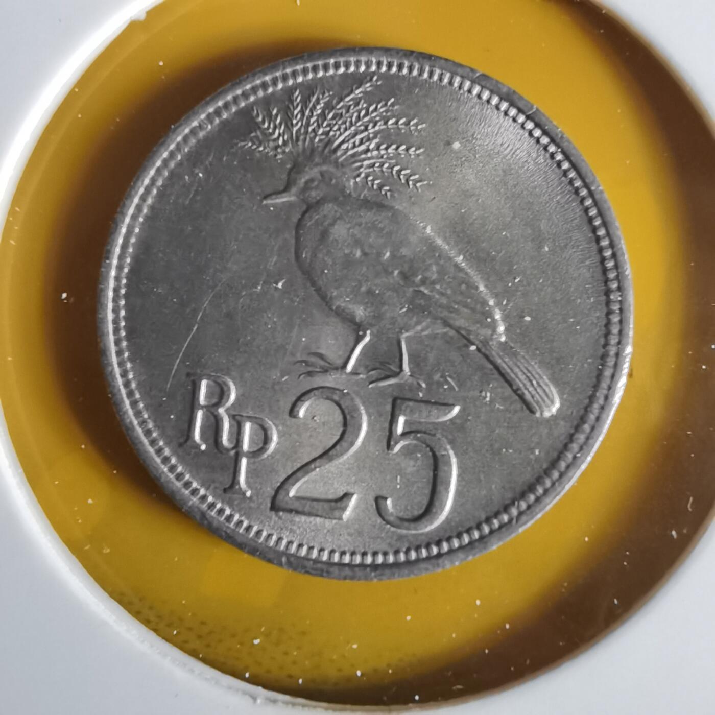 沼泽如烟--第1059场