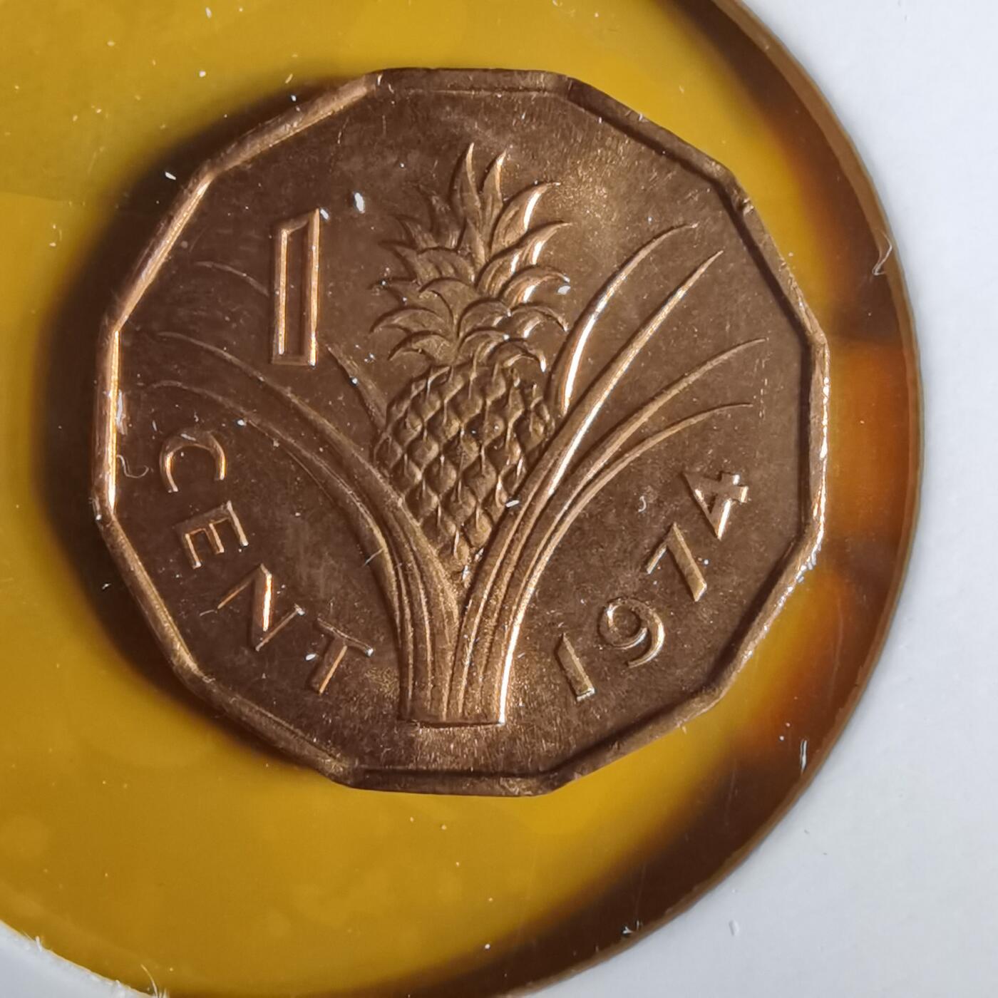 沼泽如烟--第1057场 斯威士兰1974年一分