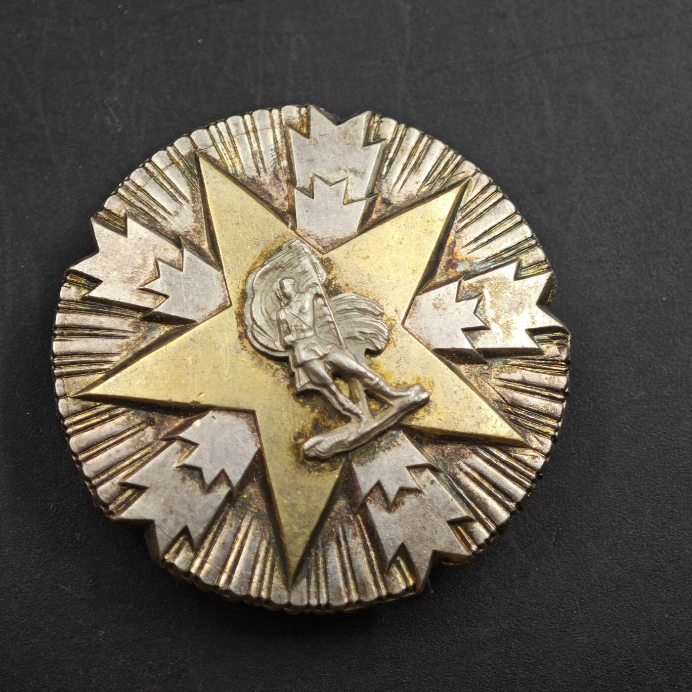 4月17日结束，成斌徽章钱币专场