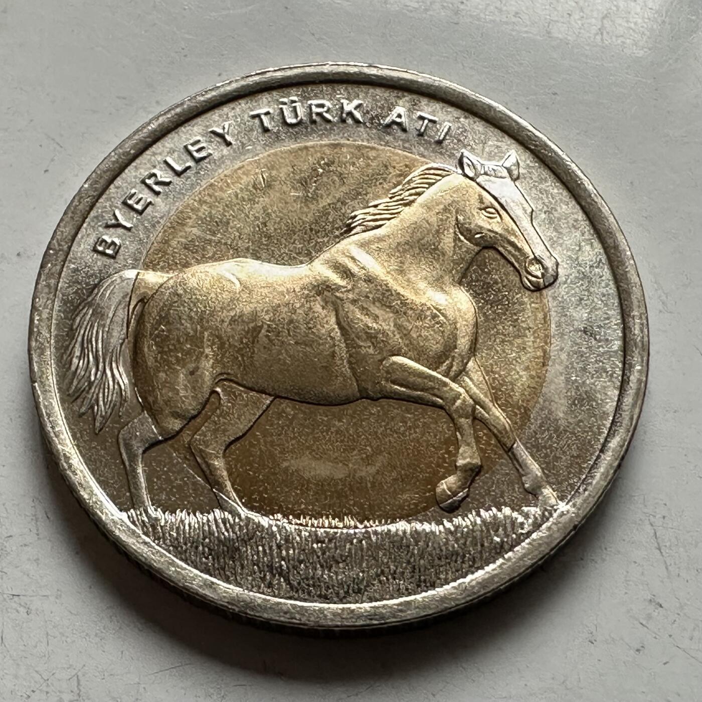 🌹外币初藏🌹🐯2026年第43场   每周二四六晚8️⃣点  世界硬币 土耳其 2014年 拜尔利土耳其马 1里拉双色纪念币