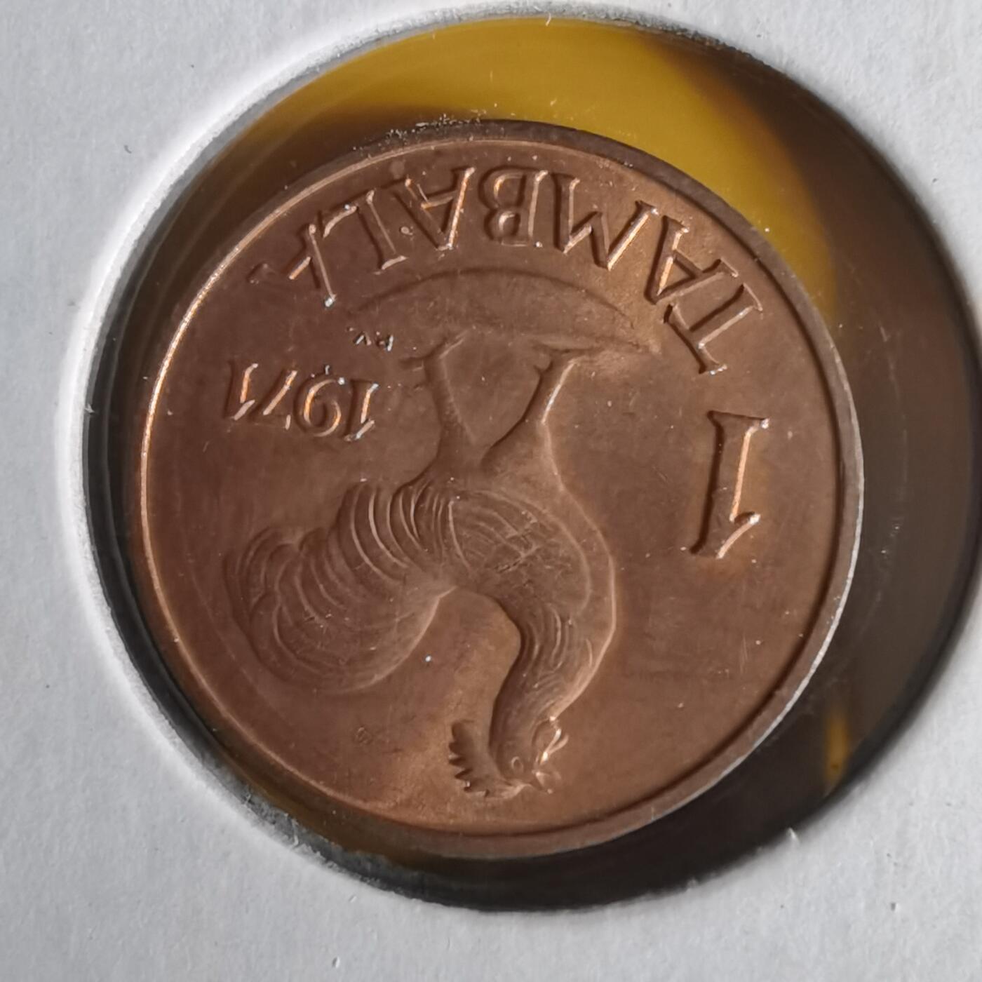 沼泽如烟--第1059场 马拉维1971年1坦巴拉