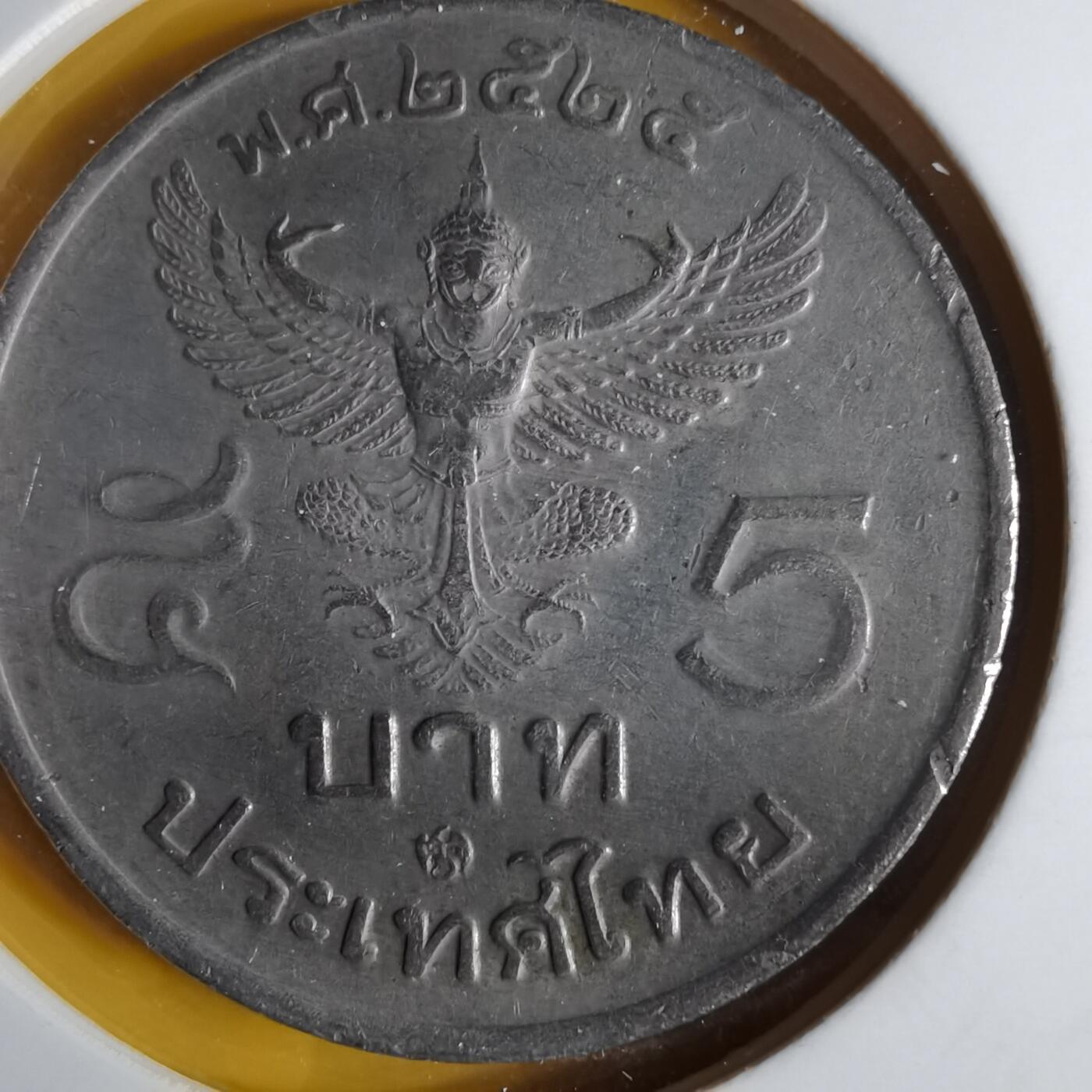 沼泽如烟--第1057场 泰国