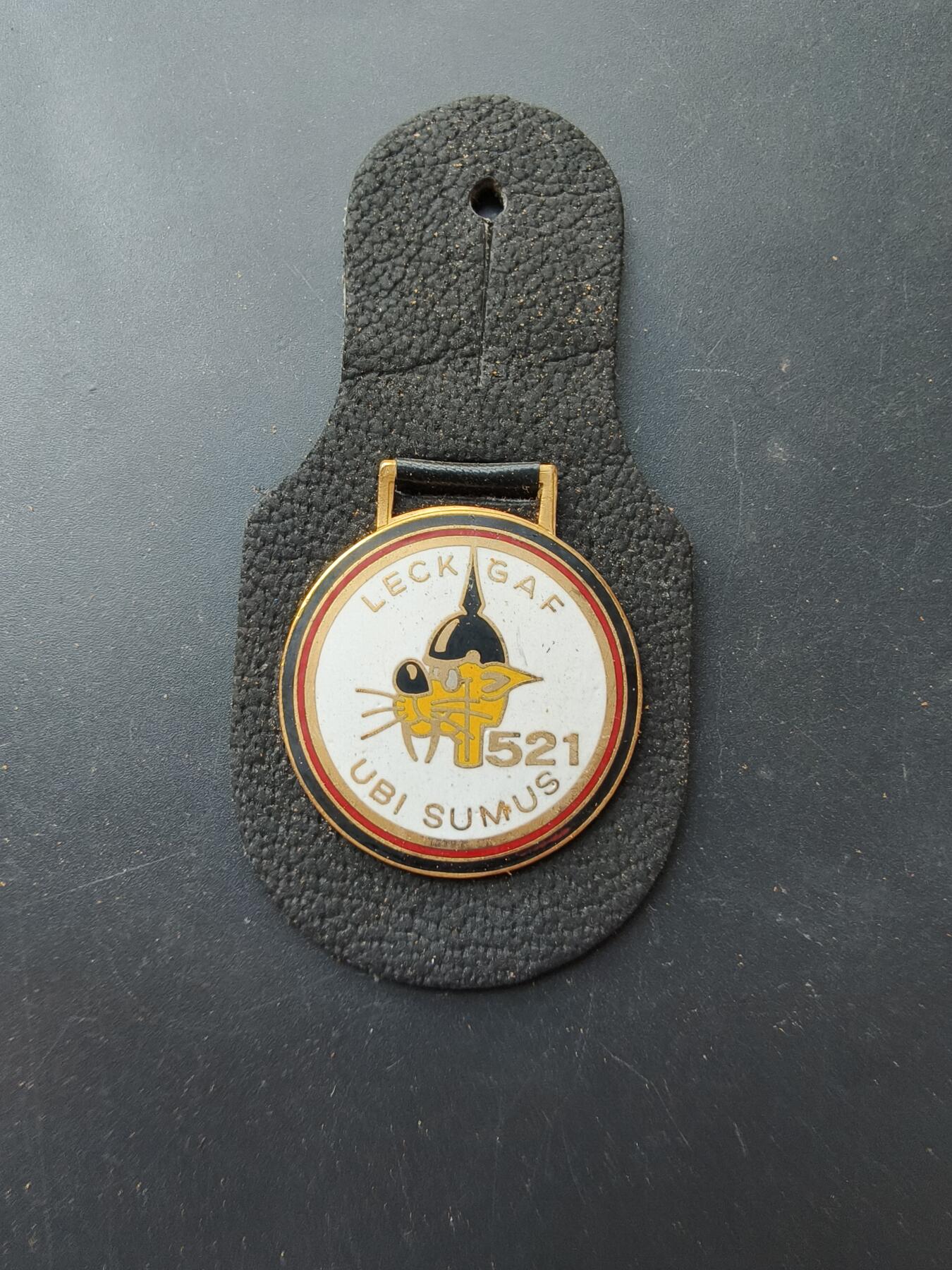 老王徽章第192期 德国联邦国防军空军第52侦察联队第1中队证章