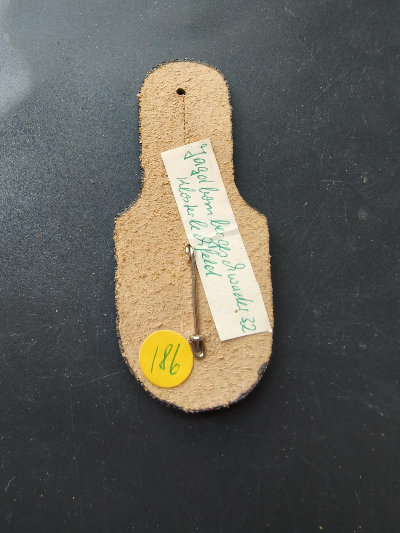 老王徽章第192期 德国联邦国防军空军第32战斗轰炸机联队证章     第32战斗轰炸机联队成立于1958年，在历史上曾装备过 F-84F“雷电”、F-104“星战士”以及后来的 狂风（Tornado） 战斗机。该联队已于2013年正式解散。 