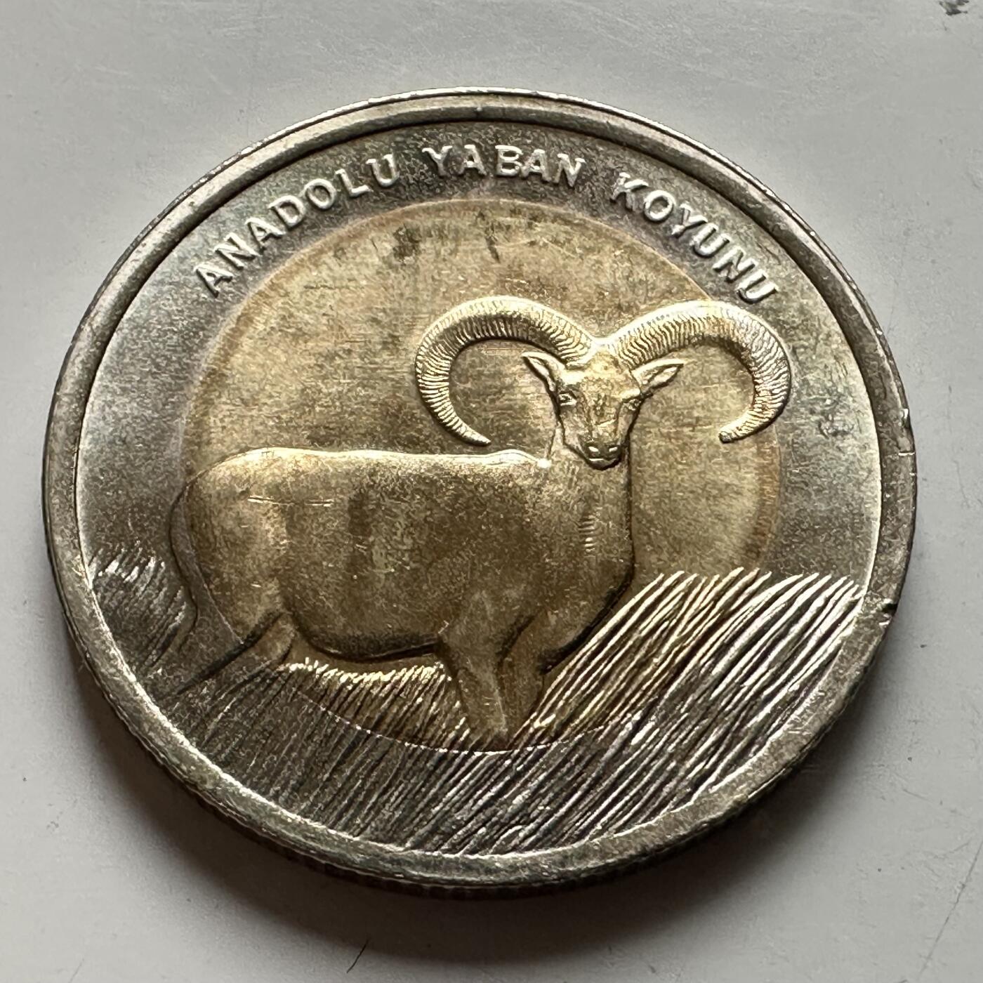 🌹外币初藏🌹🐯2026年第43场   每周二四六晚8️⃣点  世界硬币 土耳其 2015年 安纳托利亚野山羊 1里拉双色纪念币
