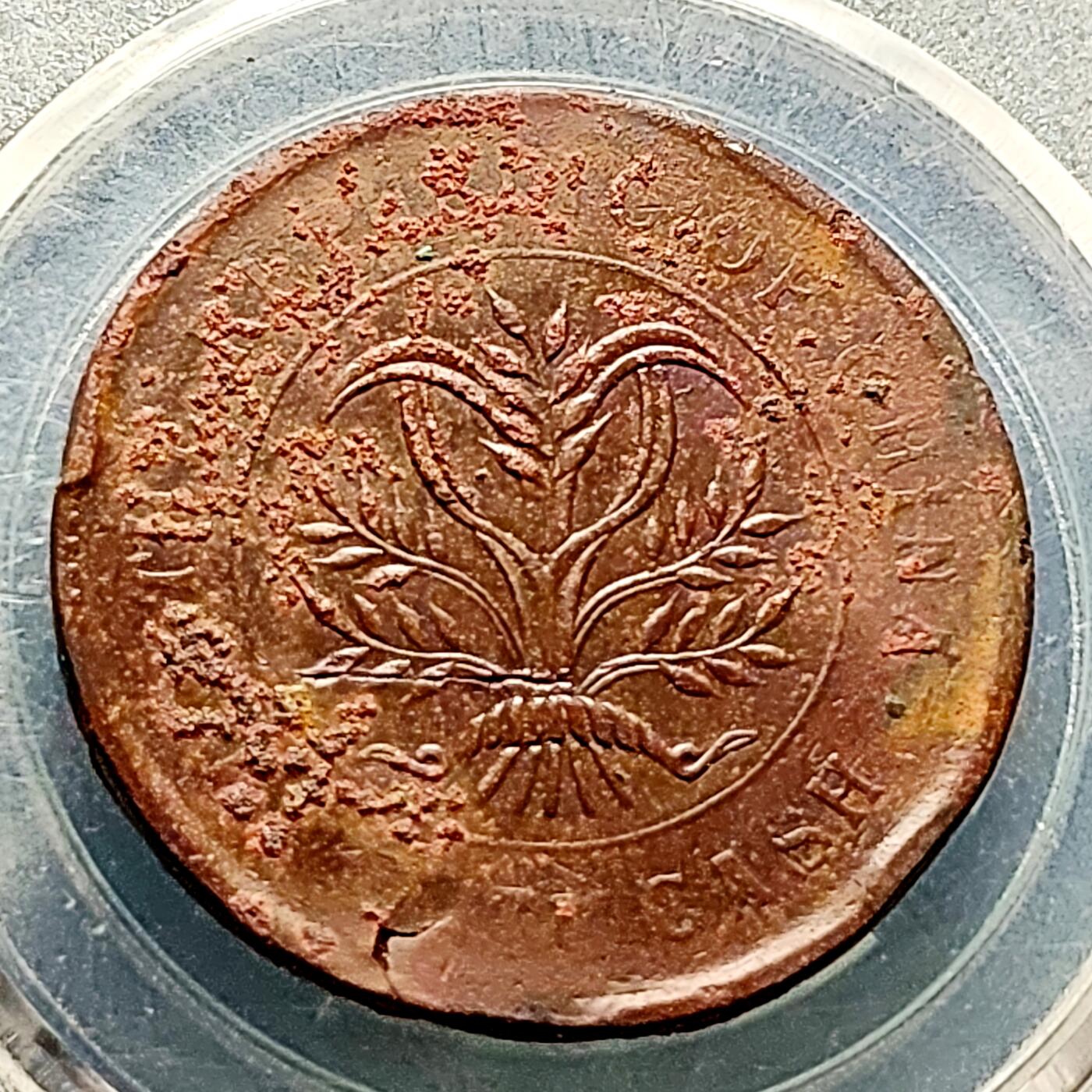 泉币菌-第227场-拍品多 请提前出价 湖南省造二十文铜元 嘉禾32×1.5mm