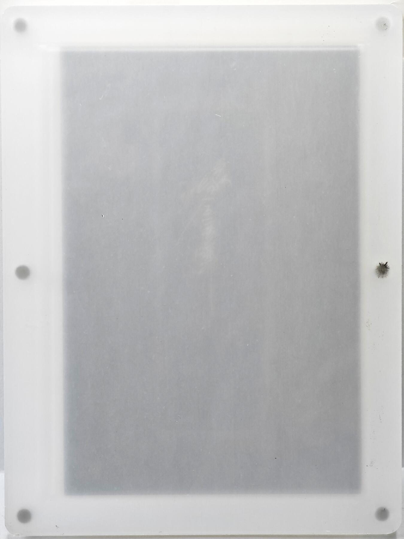 白泽拍卖卡牌手绘专场第35期（问东城春色，正谷雨，牡丹期） 2025 启读文化手绘卡 雷鸟 大卡 尺寸：9.7cm*14.7cm  沈鑫亲签 卡砖封装