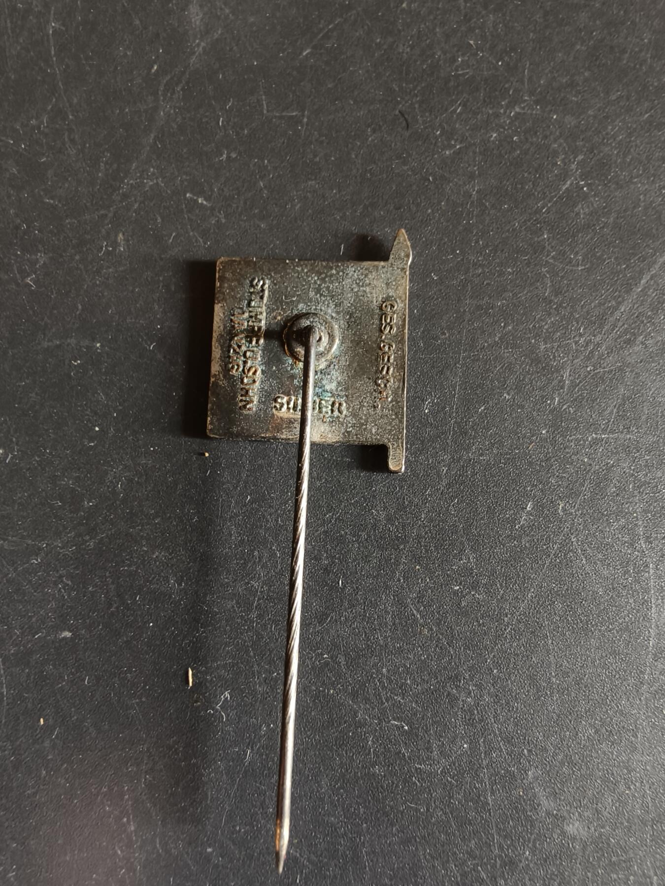 老王徽章第192期 德三SS但泽本土防卫部队针插