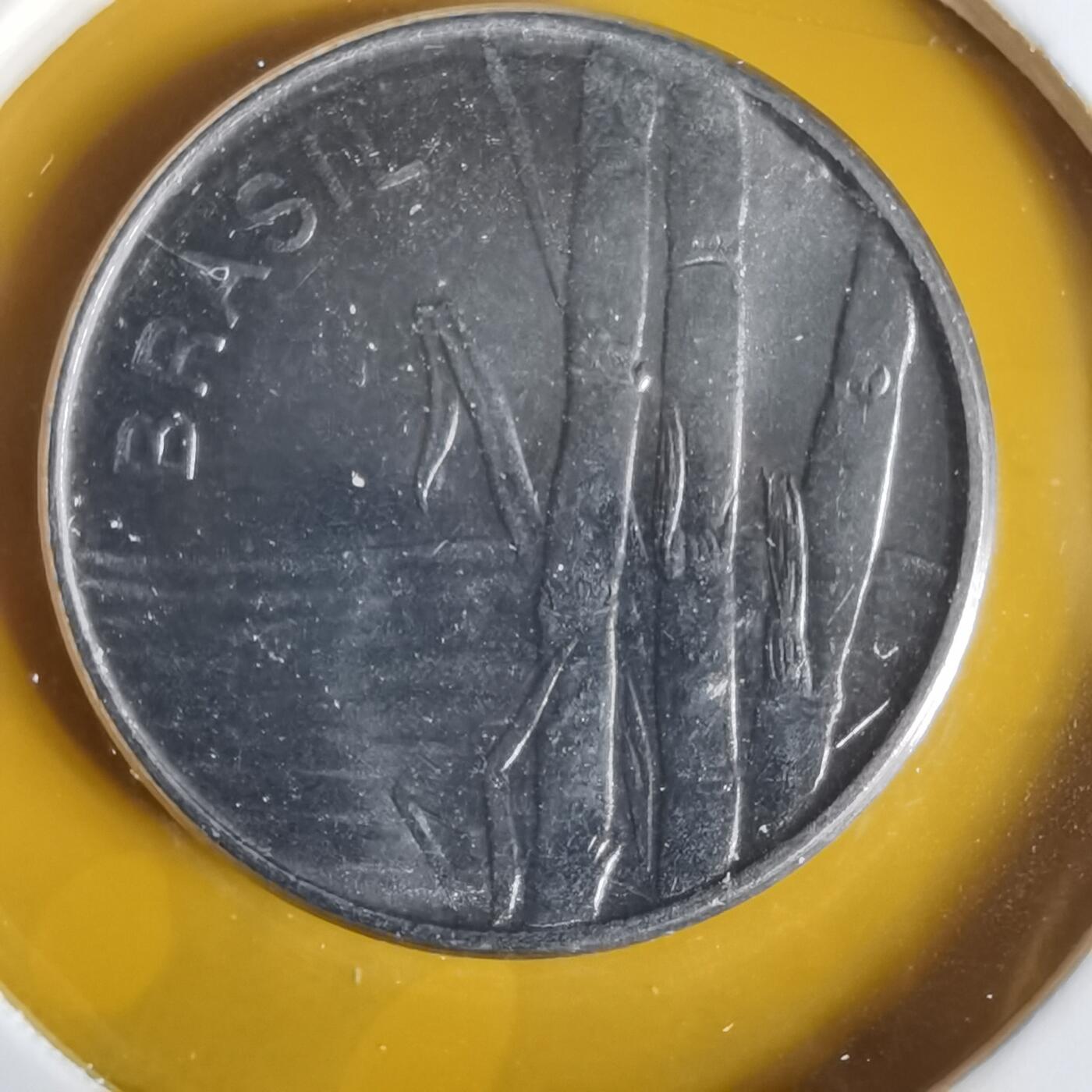 沼泽如烟--第1059场